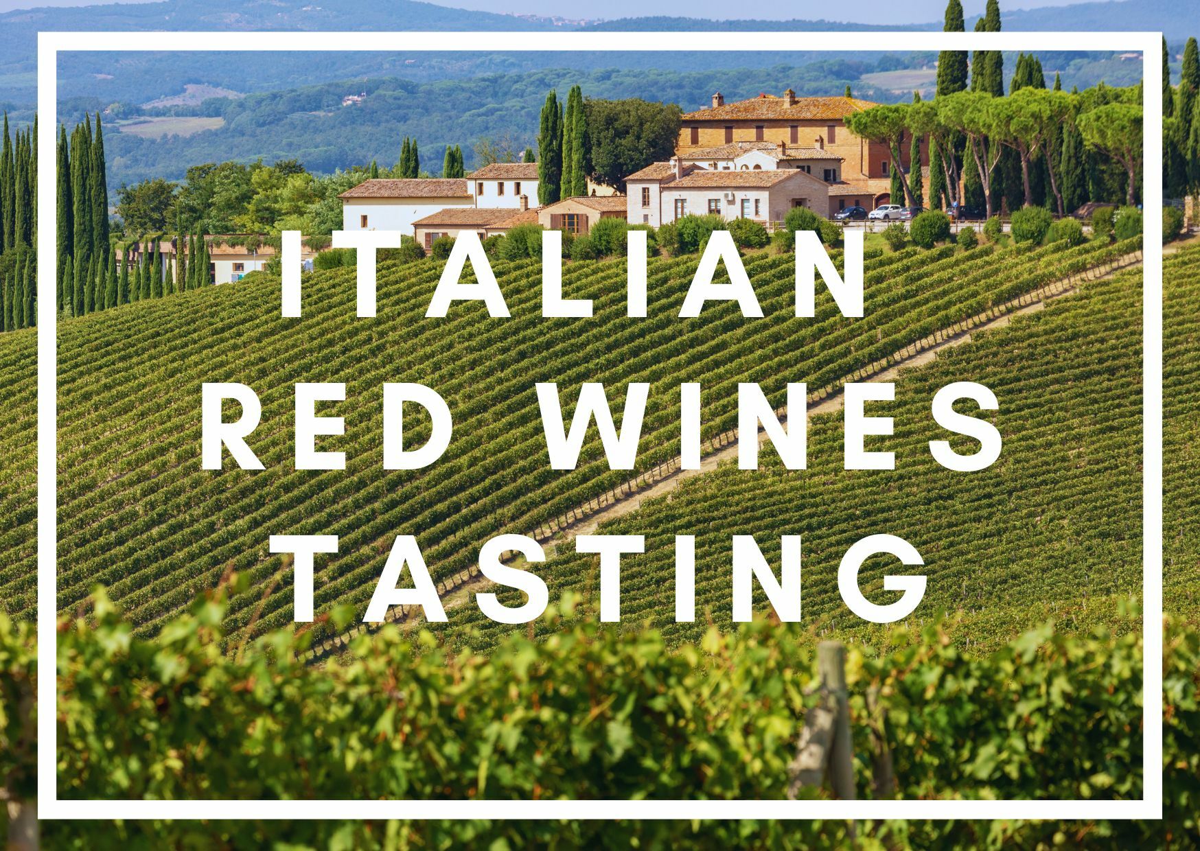 Italian Reds Wine Tasting