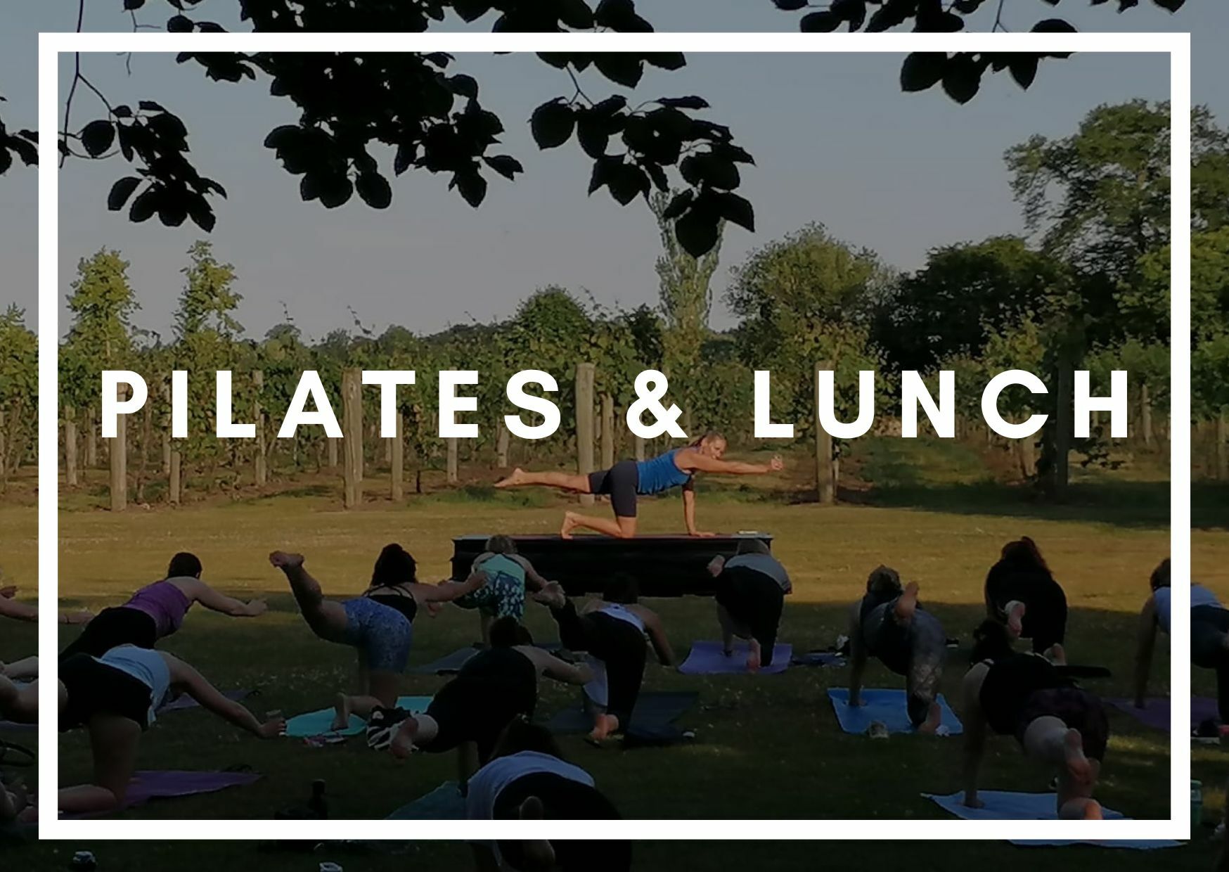 Vineyard_Pilates_and_lunch