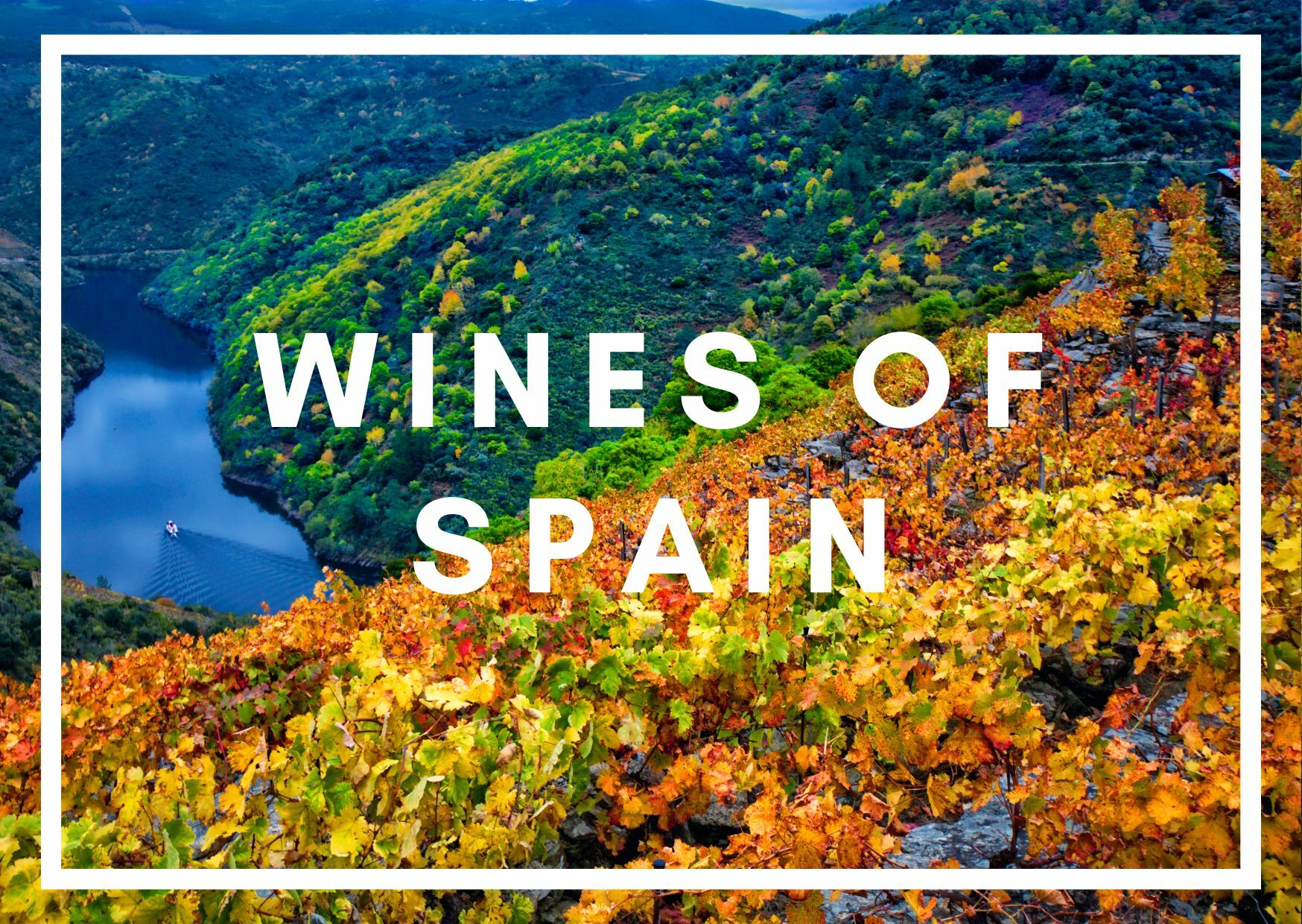 Wines of Spain